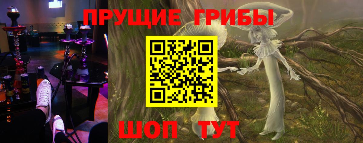 Псилоцибиновые грибы мицелий Канск