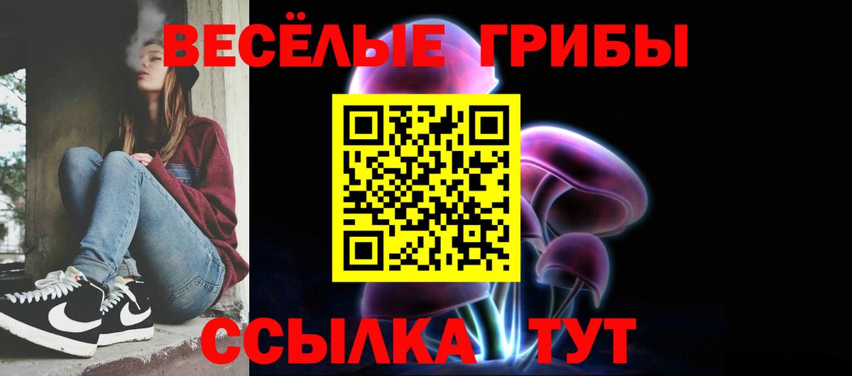 Псилоцибиновые грибы Cubensis  Вход с VPN  Канск 