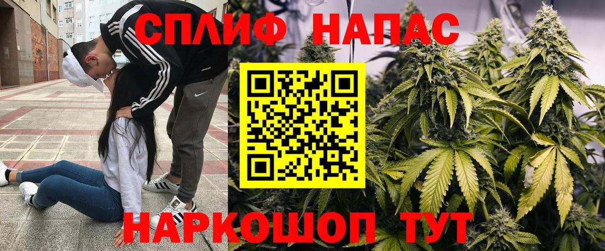 Канабис семена Канск